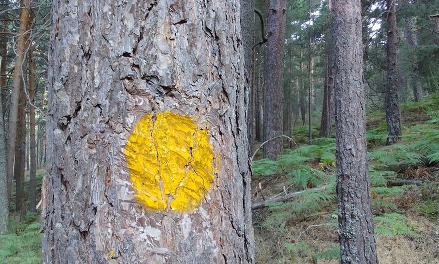 Image 14: Talla de piedra en Cercedilla/Madrid