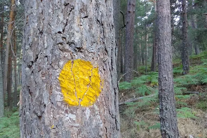 Talla de piedra en Cercedilla/Madrid