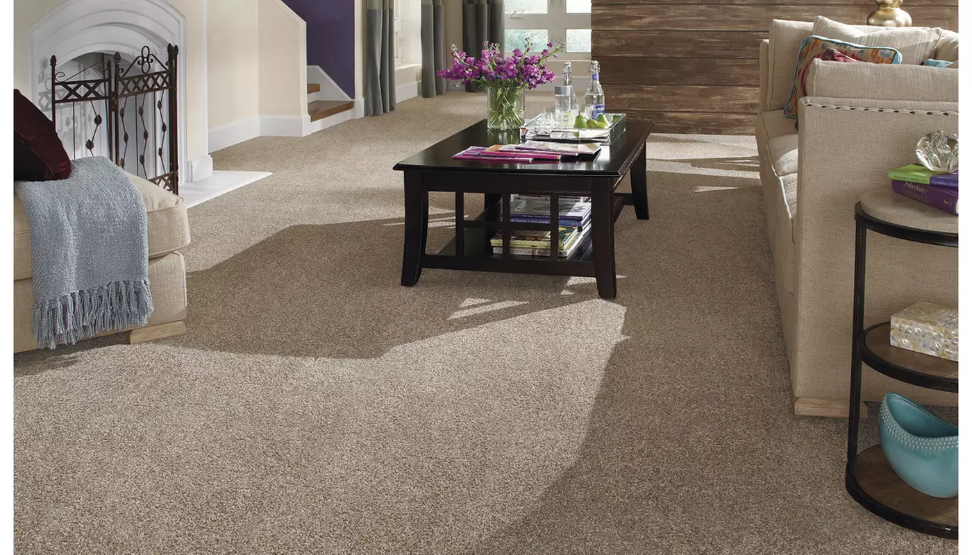 $200 For $400 Toward Carpet Or Flooring - Primary Image