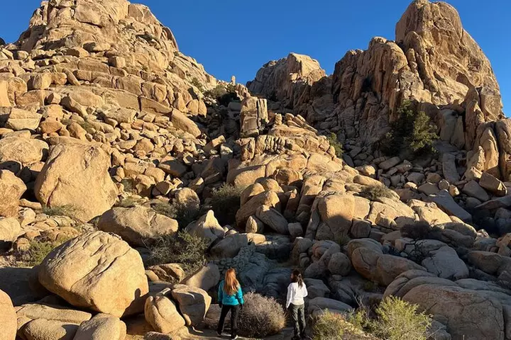 Private Sightseeing Adventure Tour of Joshua Tree Park (Max 10) - Primary Image