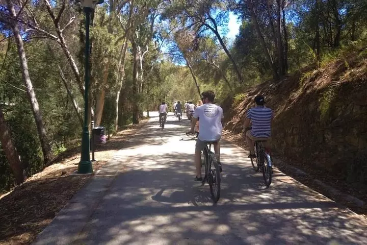 2h E-bike tour en Málaga
