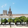 Image 4: Visita guiada sin colas a la Catedral de Sevilla, la Giralda y el A...