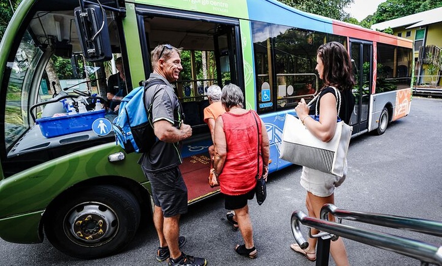 Image 4: Total Daintree Experience Tour from Port Douglas