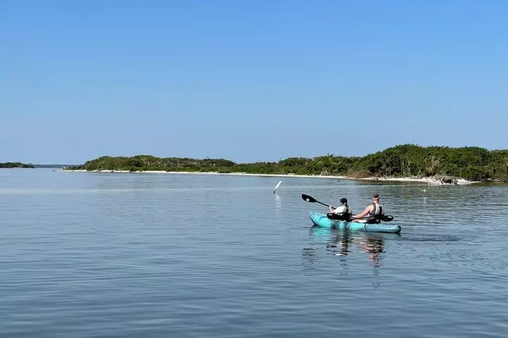 Wildlife Refuge Manatee, Dolphin & Mangrove Kayak or Paddleboarding...