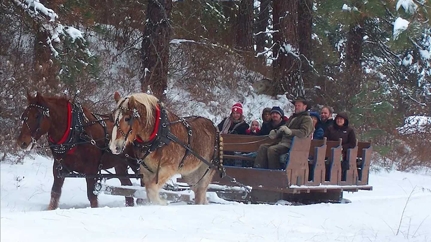 Leavenworth Sleigh Ride and Christmas Lights Festival - Primary Image