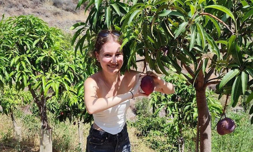 Image 7: Tour Guiado Explora nuestra Finca de Café y Frutas Tropicales
