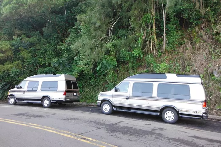 Road to Hana Luxury Limo-Van Tour with Helicopter Flight