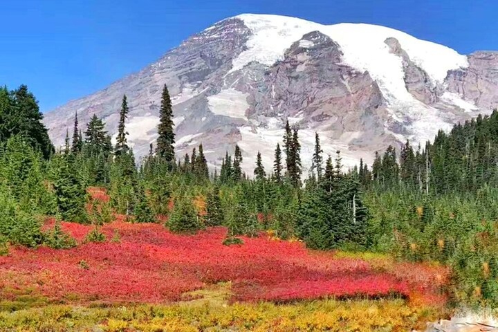 Small Group Mt Rainier National Park Day Tour from Seattle 2CanGo