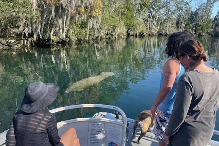 Discover Crystal River's Secrets with Private Boat Tour - Primary Image