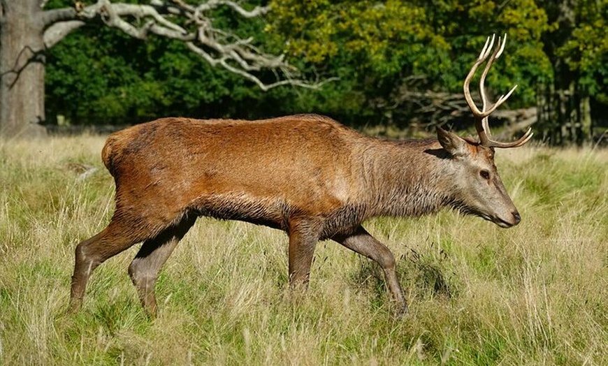 Image 13: Hampton Court Palace from Southampton Cruise Terminal