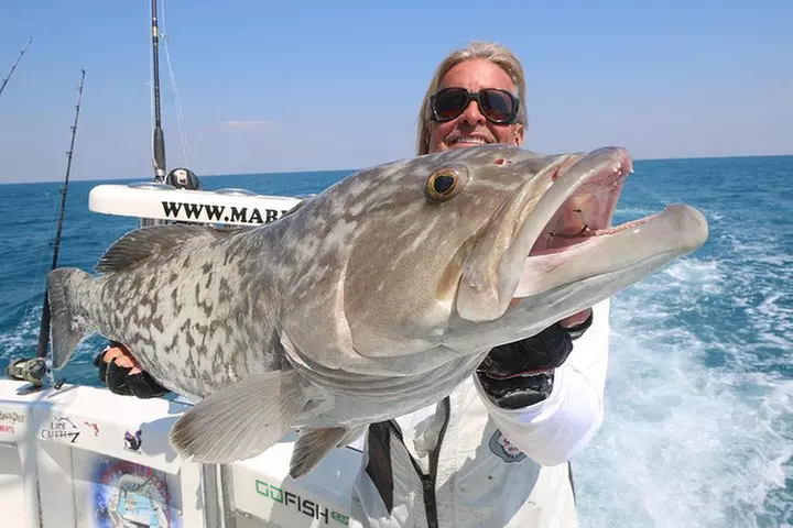 Miami Big Game Deep Sea Fishing Charter