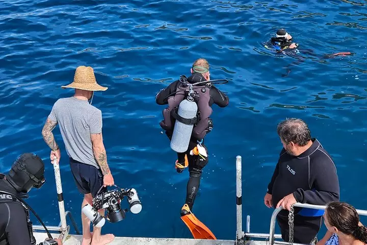 5 Days of Scuba Diving in Cozumel Mexico - Primary Image