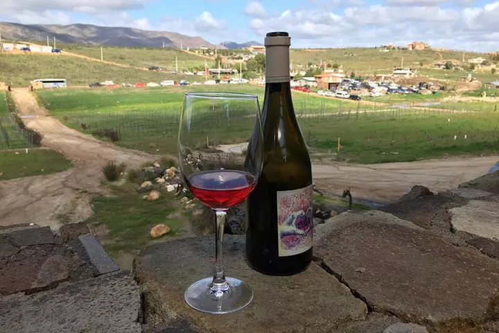 Luxury Private Wine Tasting Tour to Guadalupe Valley from San Diego