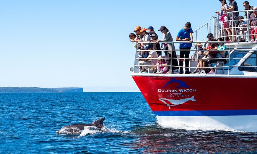 Image 2: Jervis Bay Dolphin Watch Cruise