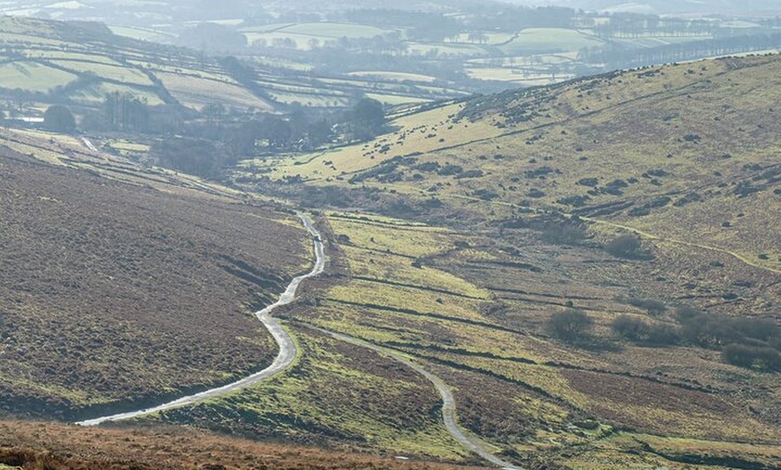Image 4: Half day Guided Dartmoor Tour