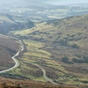 Image 4: Half day Guided Dartmoor Tour