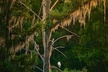 2-Hour Date Night and Sunset Cruise Near New Orleans - Second Medium