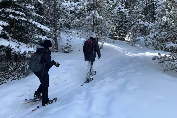 Snowshoeing Adventure in the Rocky Mountains Close to Denver