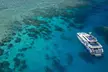 Great Barrier Reef Full Day Tour from Cairns - Image 2