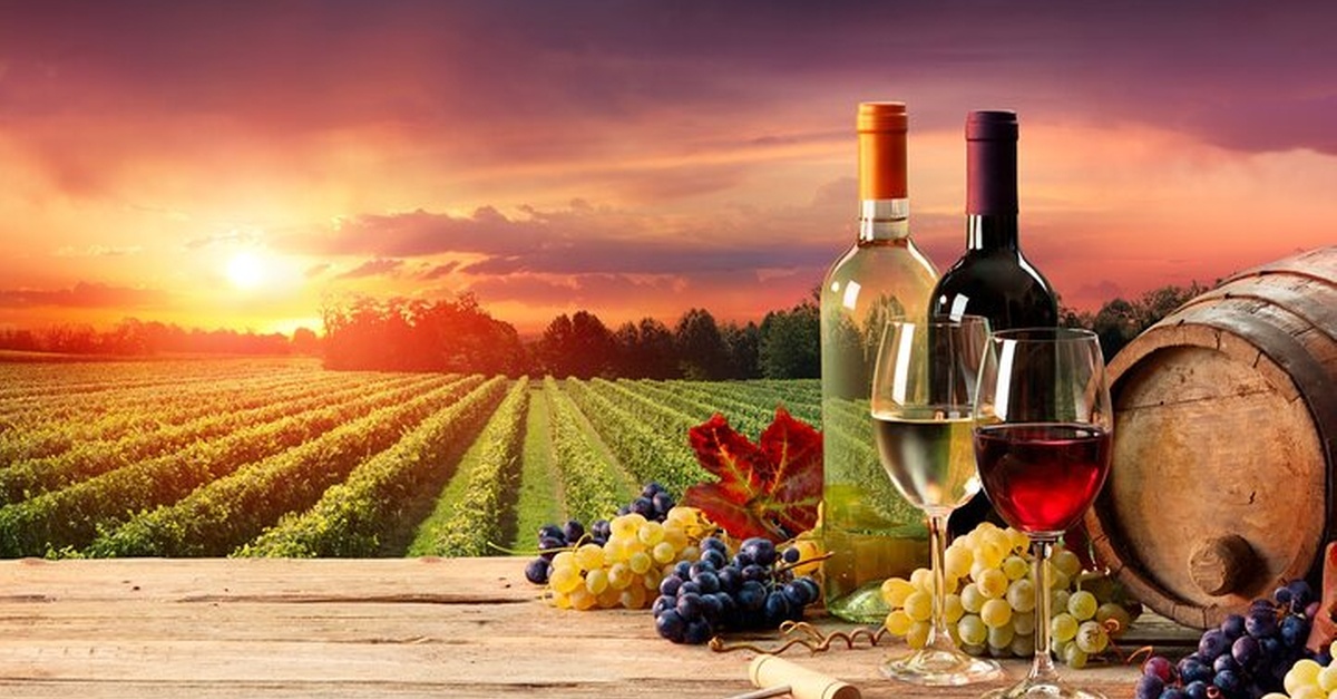 Tour privado de cata de vinos en Madrid con experto en vinos
