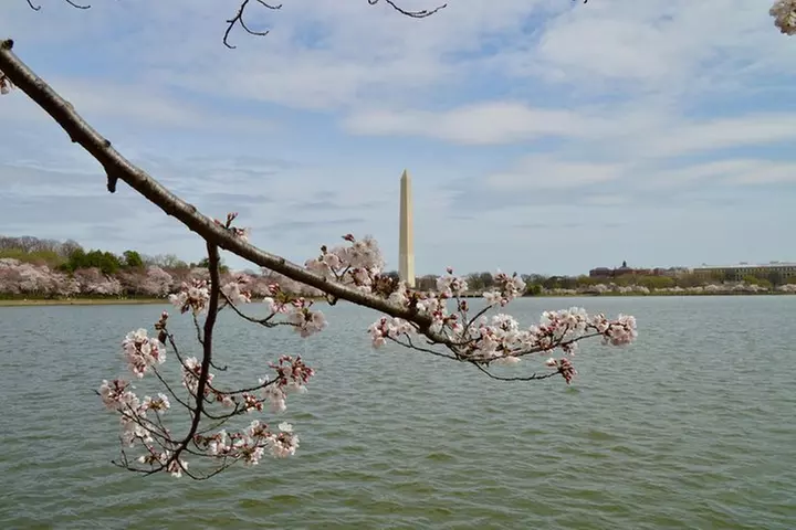 See DC In A Day: Guided Small Group Ultimate Day Tour