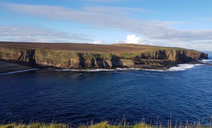 Image 8: Bespoke Private Guided Tours