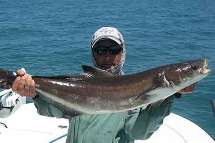 Naples Deep Sea Fishing Charters