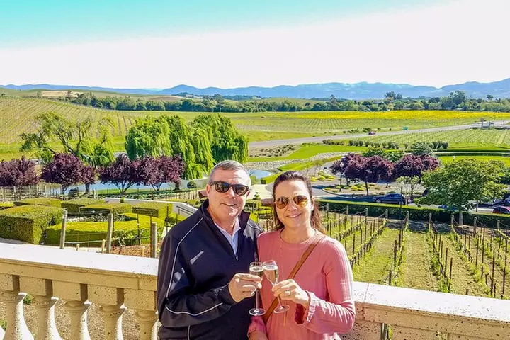 Napa Valley's Best Wine Tour w/ Local Expert