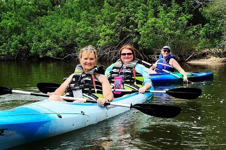 Manatee and Dolphin Kayaking Encounter