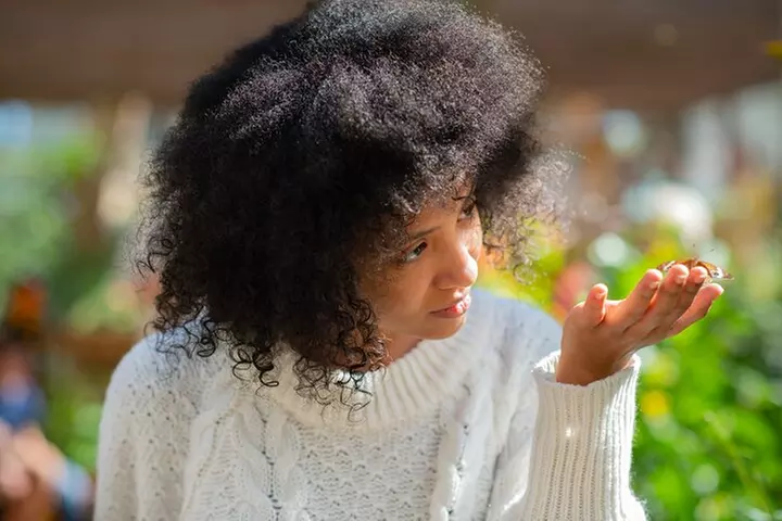 30-Minute Airboat Ride, Lunch, Gem Mining and Park Admission