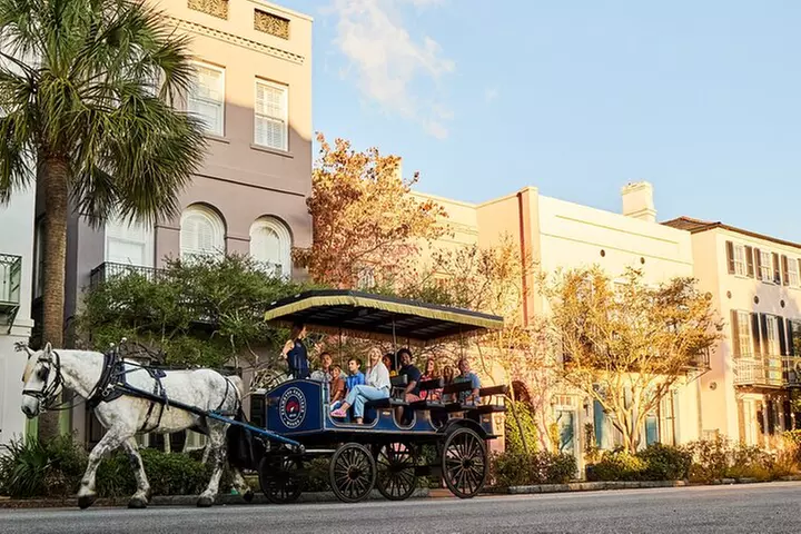 Historic Charleston Horse-Drawn Carriage Tour – Sight-Seeing Tour - Second Medium