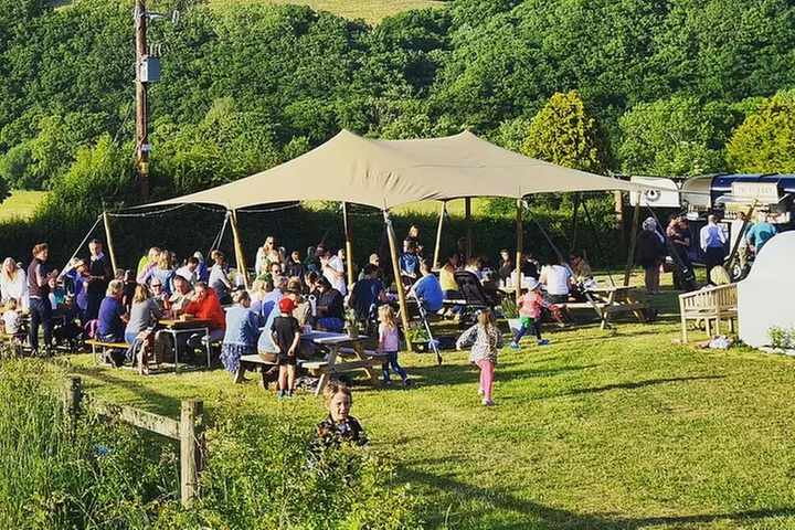 1.5-Hour Swanaford Vineyard Tour And Tasting Experience