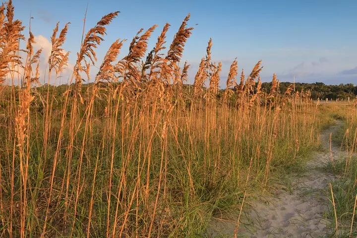 Outer Banks Self-Guided Driving Audio Tour