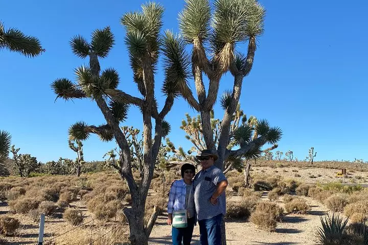 Grand Canyon West Skywalk Western Ranch Joshua Forest