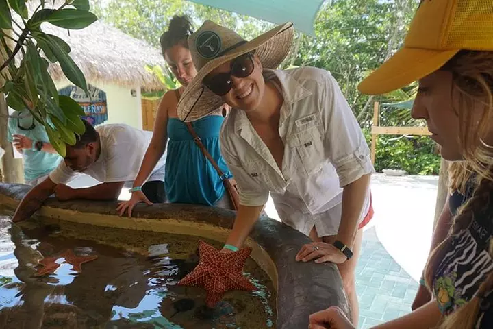 Full-Day Tour of Florida Keys Including Aquarium Encounters from Ke...