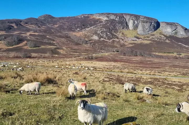 Inverness Half Day Tour in Scottish Highlands - Image 7
