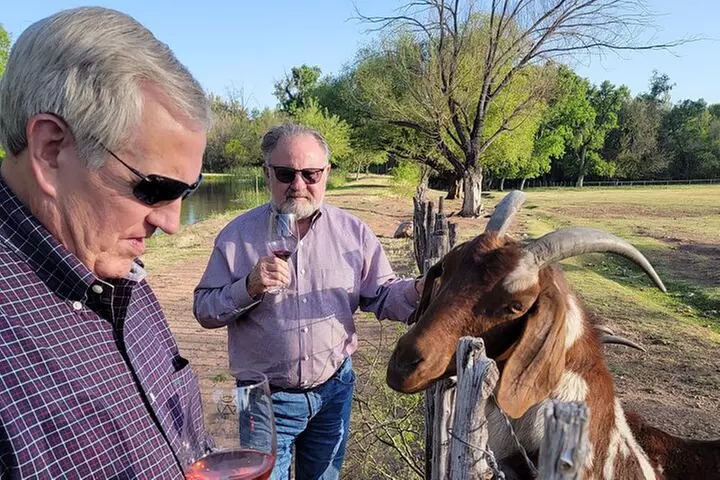 Private Wine Tour, Voted best in town, Tastings Included!