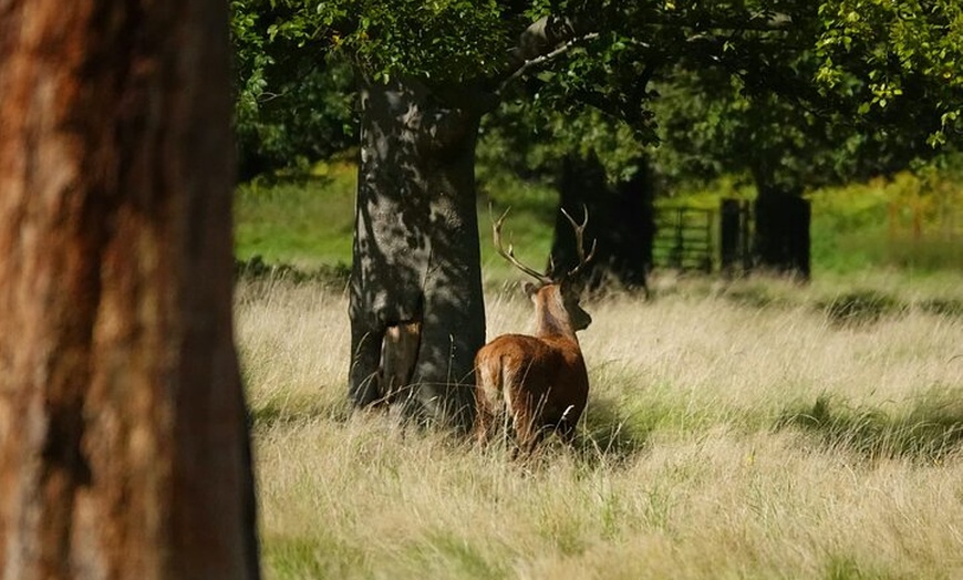 Image 17: Hampton Court Palace from Southampton Cruise Terminal