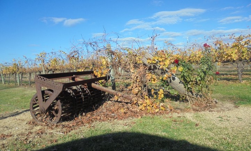 Image 9: Swan Valley Tour from Perth: Wine, Beer and Chocolate Tastings