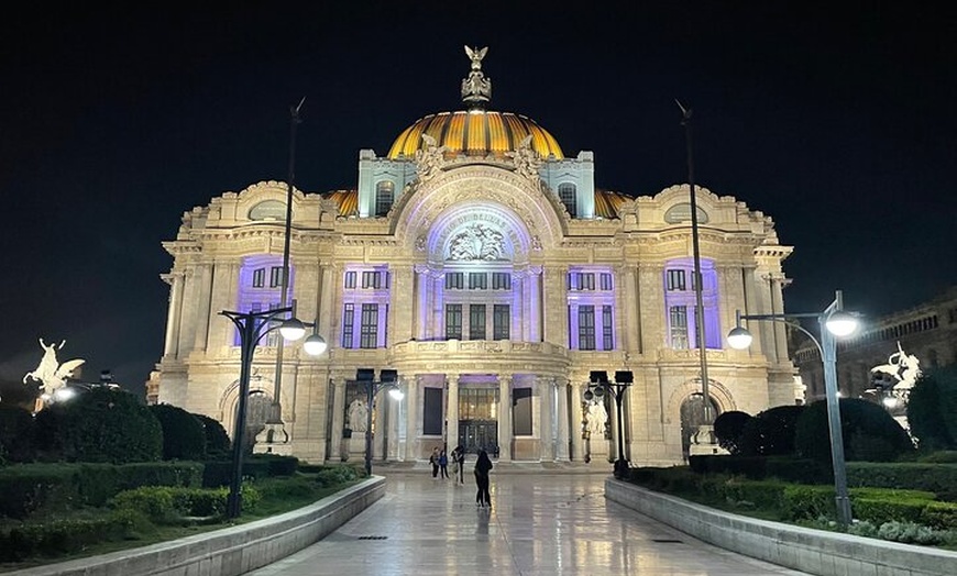 Image 3: Private Walking Tour in Mexico City