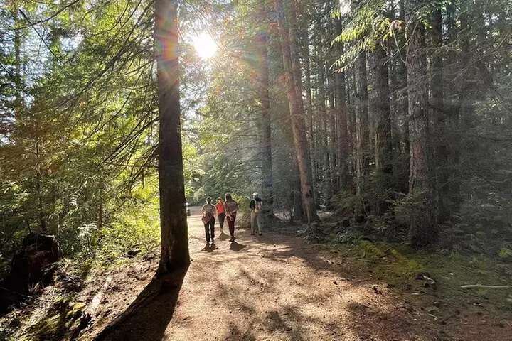 Nature Walks in Pacific - Primary Image