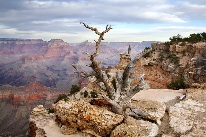 Grand Canyon South & East Rim Self-Driving, Walking & Shuttling Tour