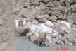 Private tour of Red Rocks, Echo Lake, Mount Evans and Idaho Springs. - Second Medium