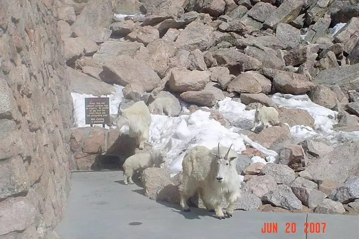Private tour of Red Rocks, Echo Lake, Mount Evans and Idaho Springs.