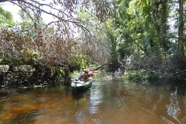 Exclusive Nature Escape Kayak Adventure on Blackwater Creek
