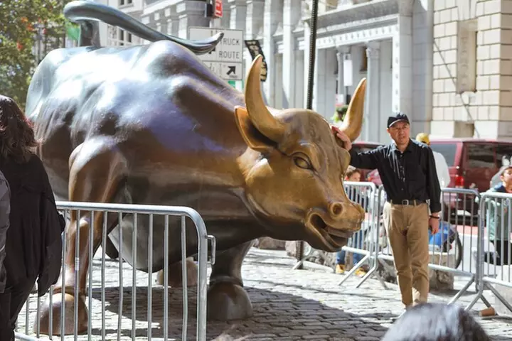 Highlights of New York City Guided Bike Tour (English or Dutch)