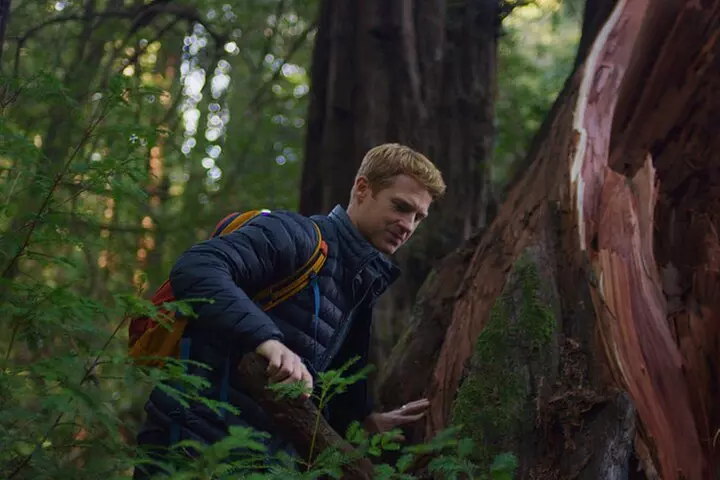 Redwoods Forest Bathing