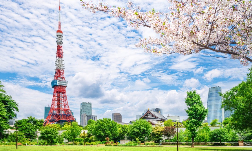 Image 19: ✈ JAPAN | Von Osaka nach Tokio - Rundreise Kyoto - Hakone - Tokio 4...