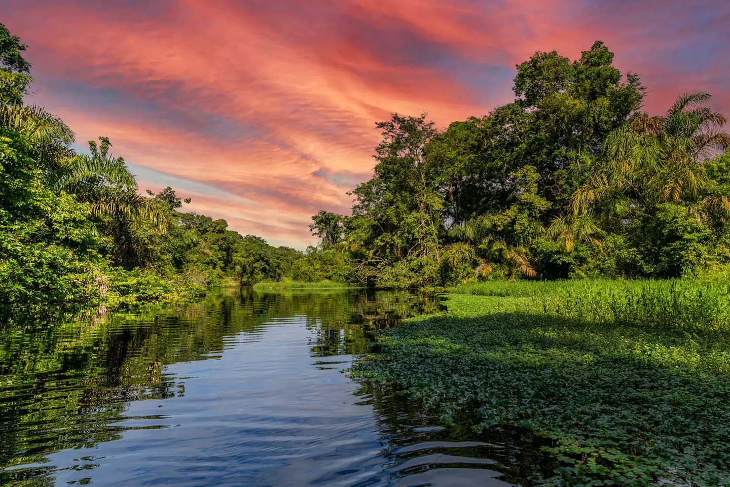 ✈ COSTA RICA | San José - Costa Rica auf eigene Faust, 7 Nächte - R...