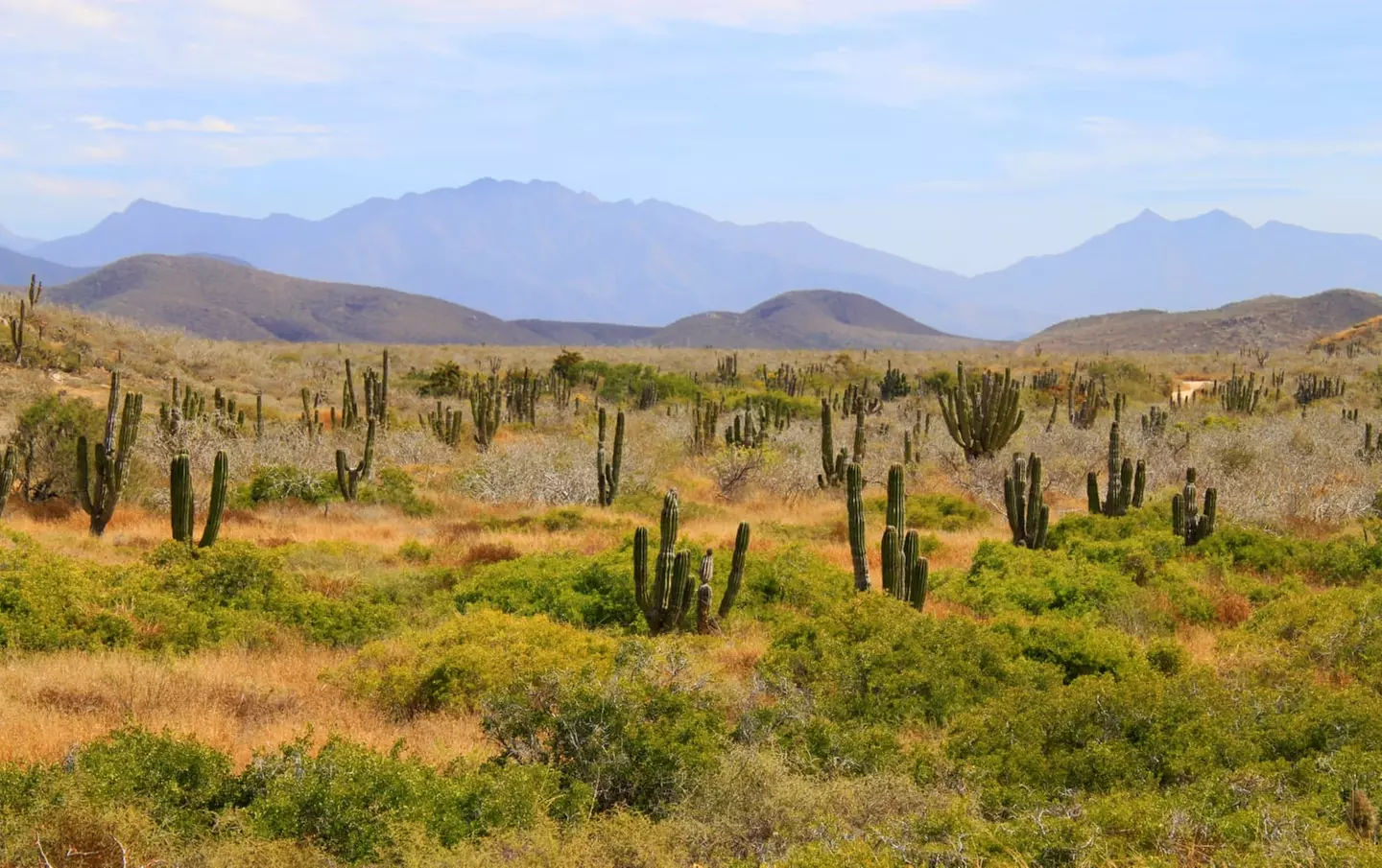 ✈ BASSA CALIFORNIA | Cabo San Lucas - Tour in auto della Bassa California del Sud 3*, 9 notti - Viaggio on the road